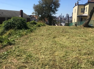 Cleanups by Joshua Bauer for David M. in Pittsburgh, PA