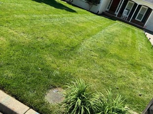 Lori H.'s Lawn Service service result