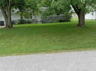 Katina K.'s Lawn Care service result