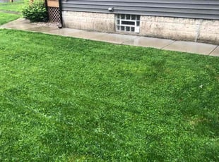 Tracy S.'s Grass Cutting service result