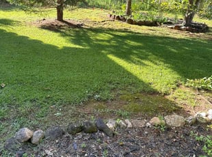 Jonas W.'s Lawn Service service result