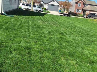 Rhonda L.'s Lawn Care service result
