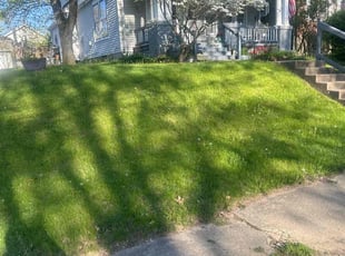 Gary S.'s Lawn Mowing service result