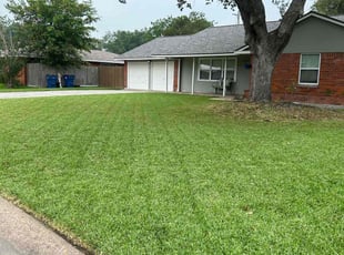 Francisca M.'s Yard Cutting service result