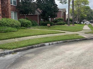 Tina W.'s Lawn Care service result