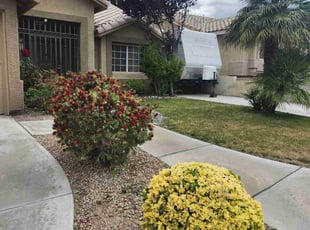 Bush Trimming by George Zhouf for Rhonda P. in Las Vegas, NV