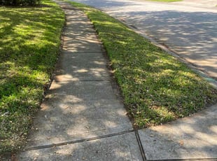 Brenda M.'s Grass Cutting service result