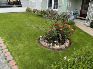 Brenda C.'s Yard Cutting service result
