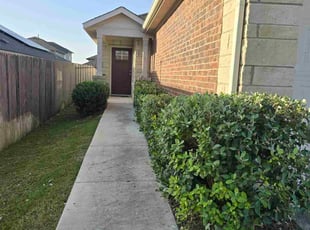 Bush Trimming by Steven Solis for Laura B. in Leander, TX