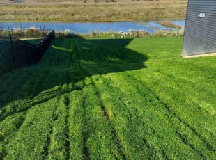 Carlos Z.'s Lawn Mowing service result