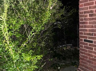 Bush Trimming by Ryan Patrick for Elijah S. in Indianapolis, IN