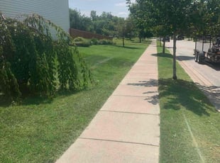 Chris C.'s Lawn Care service result