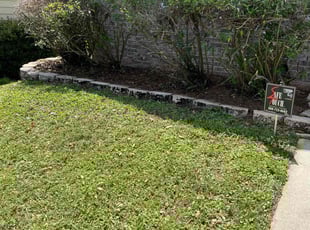 Weeding by Herschell Bradley for Shane R. in Tallahassee, FL