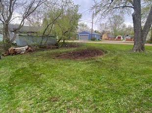 Leaf Removal by Robert Cain for Cathy C. in Commerce Charter Township, MI