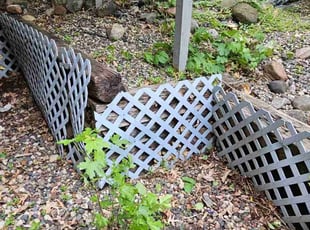 Leaf Removal by Dwyne Smith for Sameera A. in Burnsville, MN