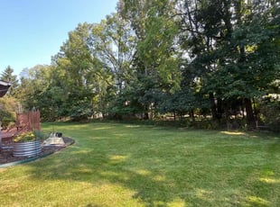 Sang B.'s Lawn Mowing service result
