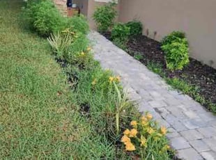 Weeding by Joseph Comerford for Beverly K. in Palm Bay, FL
