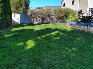 Mitchell S.'s Grass Cutting service result