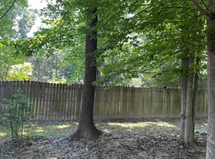 Bush Trimming by Edgar Elmore for Justin S. in Stafford, VA