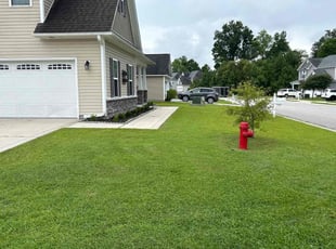 Rachel M.'s Lawn Care service result