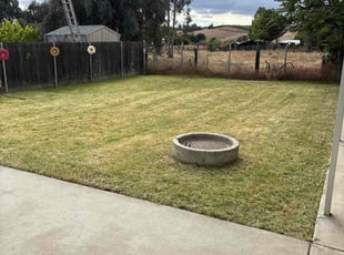 Erik S.'s Yard Cutting service result