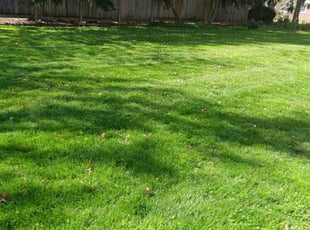 Margaret T.'s Lawn Care service result