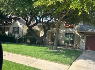 Mia H.'s Lawn Care service result