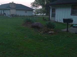 Bush Trimming by Desmond Standifer for Donyell H. in Kansas City, KS