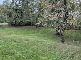 Nate J.'s Lawn Care service result