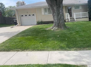 Selena M.'s Lawn Mowing service result