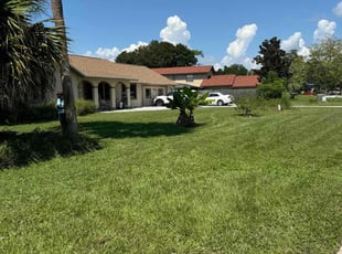 Deena P.'s Yard Cutting service result