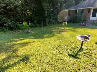 Cleanups by Keem James for John D. in Durham, NC