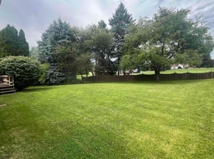 Mark T.'s Yard Cutting service result