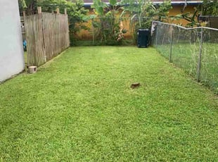 Brian C.'s Lawn Service service result