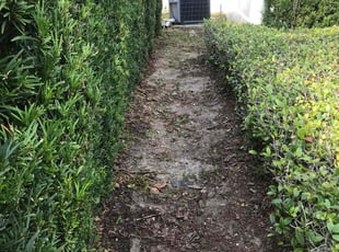 Weeding by Jah Gage for Felicia C. in Orlando, FL