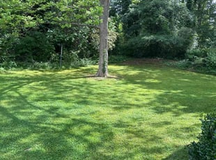 Mitchell M.'s Lawn Service service result