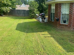 Tin M.'s Lawn Service service result