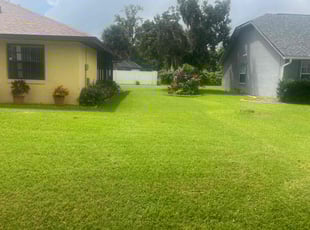 Cherylann M.'s Grass Cutting service result