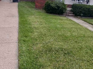 Daniel b.'s Lawn Maintenance service result