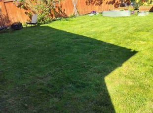 Velvet F.'s Lawn Mowing Service service result