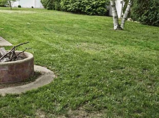 Leaf Removal by Joshua Post for Craig W. in Ravenna, MI