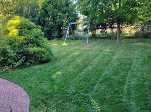 Stacy S.'s Lawn Care service result