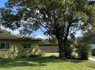 Johnita I.'s Lawn Mowing service result