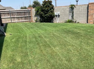 Brenna H.'s Lawn Mowing service result