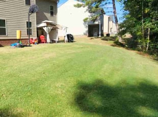 Ramsey C.'s Lawn Maintenance service result
