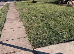 Josh S.'s Lawn Maintenance service result