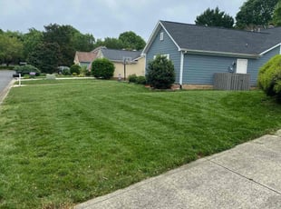 Damon C.'s Lawn Care service result