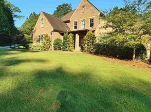 Vince D.'s Lawn Mowing service result