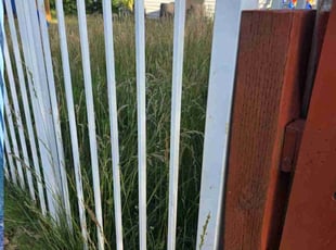 Bush Trimming by Paula Tellez for Gabriel G. in Lancaster, CA