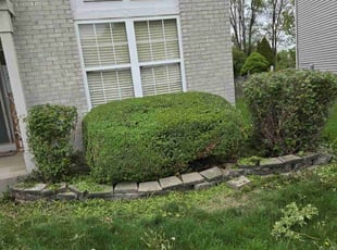 Bush Trimming by Nicholas Sarcletti for Precesa B. in Romeoville, IL